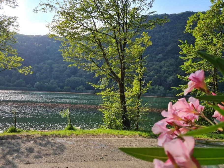 Civico 62 Relax Vicino Al Lago Canzo Ngoại thất bức ảnh